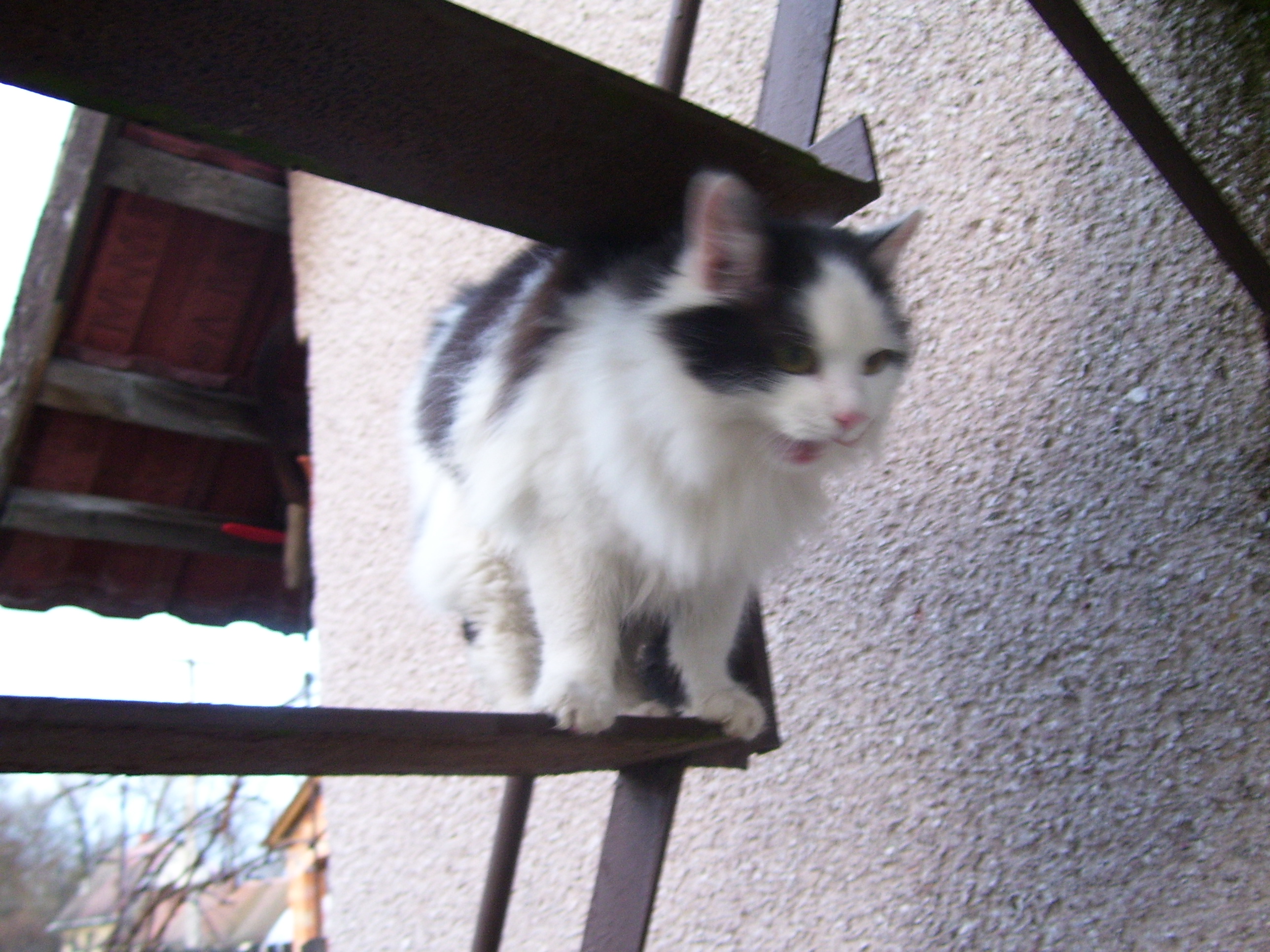 100_0164.jpg